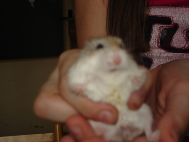 DSC03478.JPG