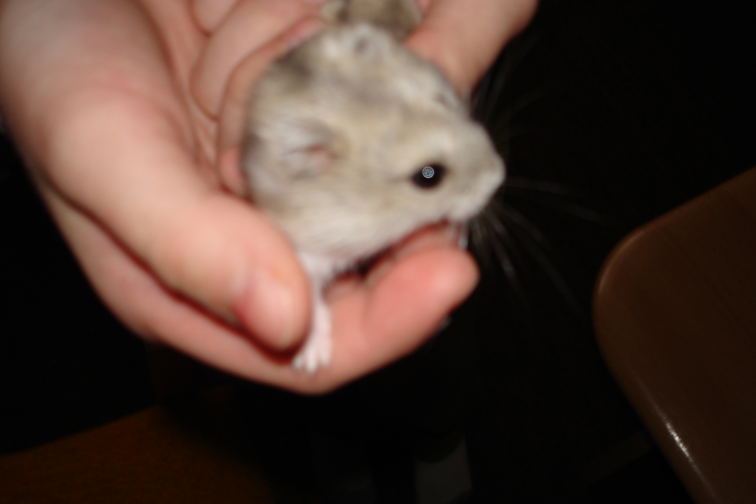 DSC03130.JPG
