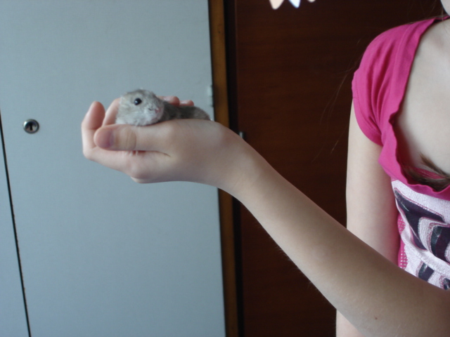 DSC03416.JPG
