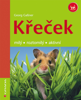 k.jpg