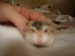 DSC02933.JPG