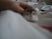 DSC02934.JPG