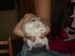 DSC03475.JPG