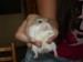 DSC03473.JPG