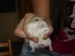 DSC03474.JPG