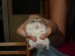 DSC03476.JPG